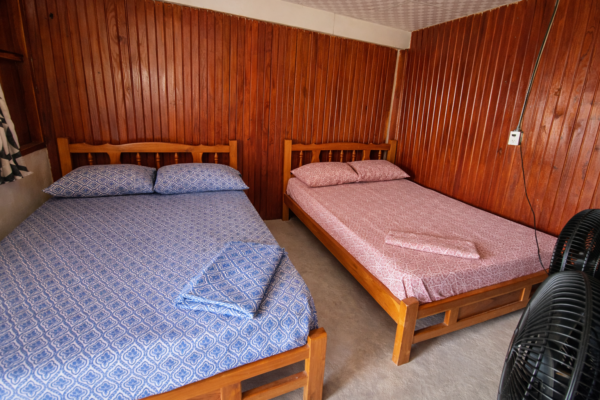 Rustic cabin interior Isla Perro San Blas twin beds near the beach