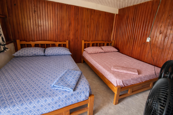Interior room Isla Perro San Blas with two beds and wooden walls beachfront cabin