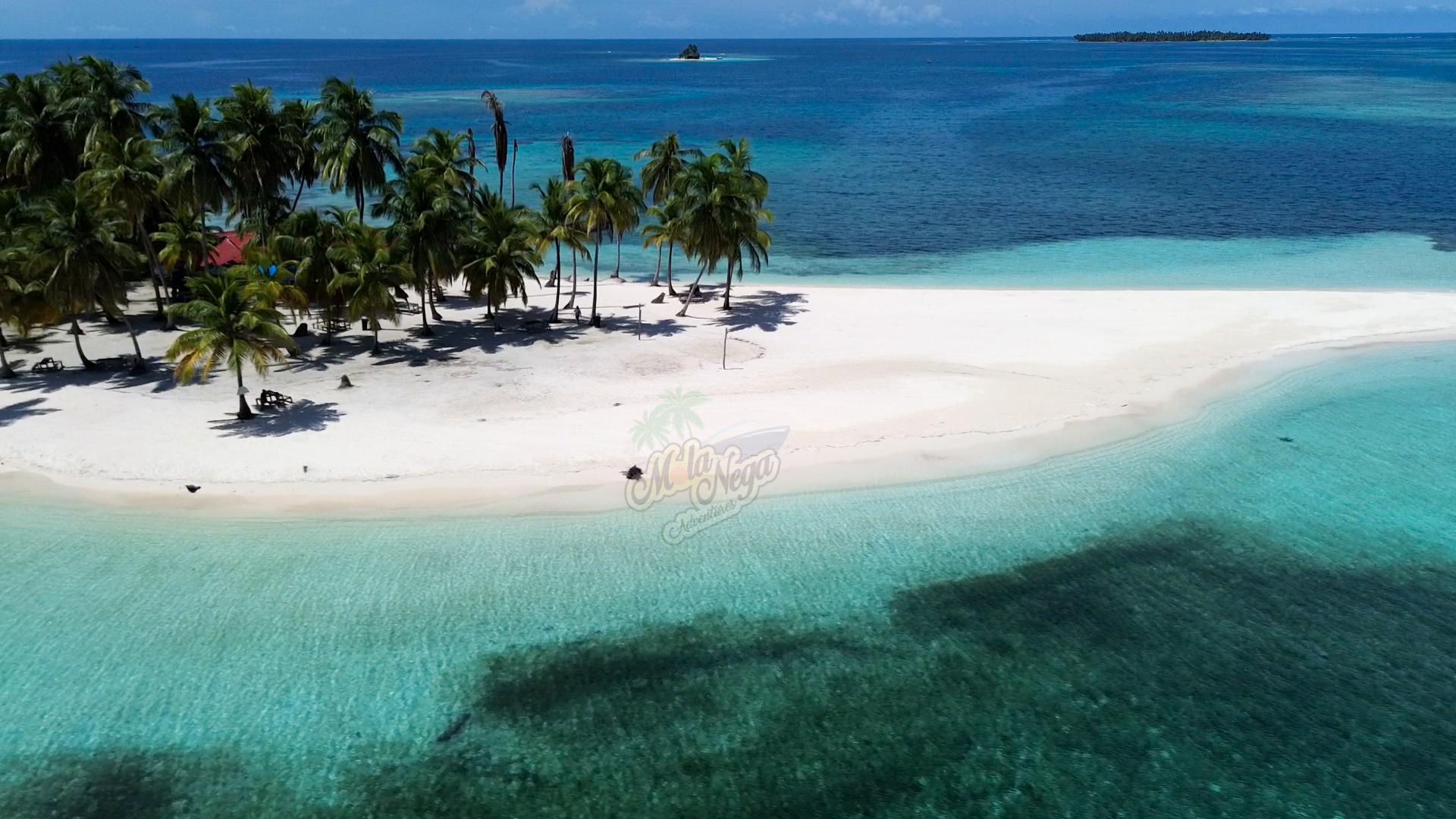 perro grande San Blas